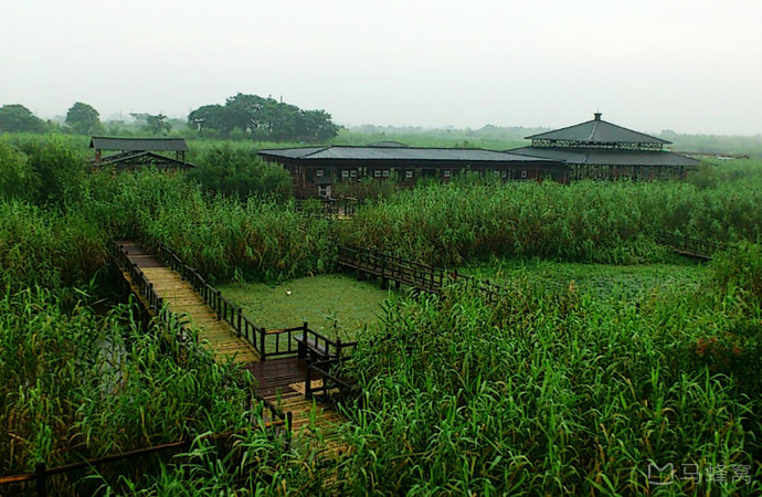 綠色環(huán)保